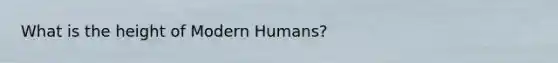 What is the height of Modern Humans?