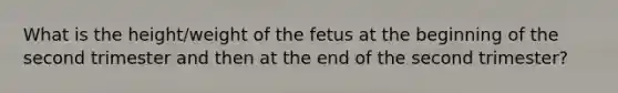 What is the height/weight of the fetus at the beginning of the second trimester and then at the end of the second trimester?