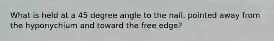 What is held at a <a href='https://www.questionai.com/knowledge/kjoh3LclkI-45-degree-angle' class='anchor-knowledge'>45 degree angle</a> to the nail, pointed away from the hyponychium and toward the free edge?