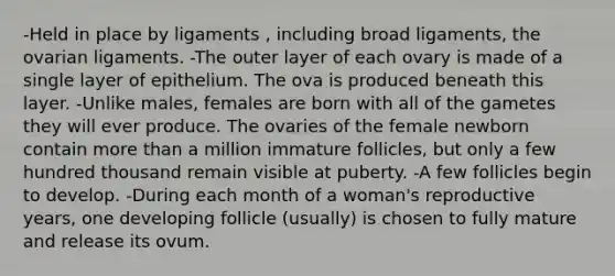 -Held in place by ligaments , including broad ligaments, the ovarian ligaments. -The outer layer of each ovary is made of a single layer of epithelium. The ova is produced beneath this layer. -Unlike males, females are born with all of the gametes they will ever produce. The ovaries of the female newborn contain more than a million immature follicles, but only a few hundred thousand remain visible at puberty. -A few follicles begin to develop. -During each month of a woman's reproductive years, one developing follicle (usually) is chosen to fully mature and release its ovum.