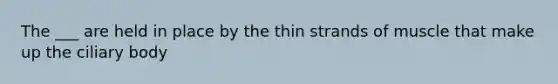 The ___ are held in place by the thin strands of muscle that make up the ciliary body