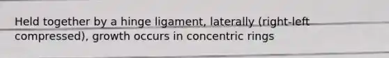 Held together by a hinge ligament, laterally (right-left compressed), growth occurs in concentric rings