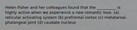 Helen Fisher and her colleagues found that the __________ is highly active when we experience a new romantic love. (a) reticular activating system (b) prefrontal cortex (c) metatarsal-phalangeal joint (d) caudate nucleus