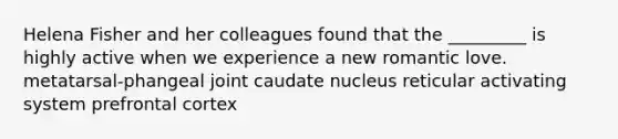 Helena Fisher and her colleagues found that the _________ is highly active when we experience a new romantic love. metatarsal-phangeal joint caudate nucleus reticular activating system prefrontal cortex