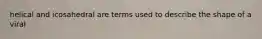 helical and icosahedral are terms used to describe the shape of a viral