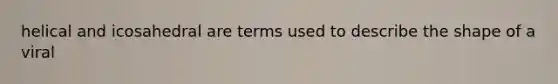 helical and icosahedral are terms used to describe the shape of a viral