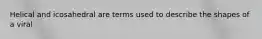 Helical and icosahedral are terms used to describe the shapes of a viral