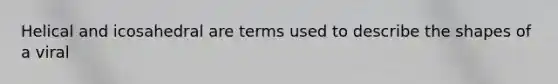 Helical and icosahedral are terms used to describe the shapes of a viral