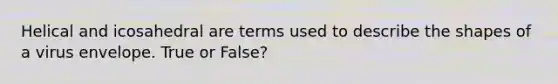 Helical and icosahedral are terms used to describe the shapes of a virus envelope. True or False?