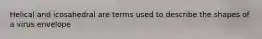 Helical and icosahedral are terms used to describe the shapes of a virus envelope