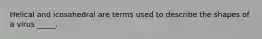 Helical and icosahedral are terms used to describe the shapes of a virus _____.