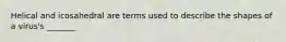 Helical and icosahedral are terms used to describe the shapes of a virus's _______