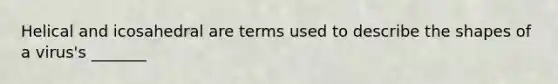 Helical and icosahedral are terms used to describe the shapes of a virus's _______