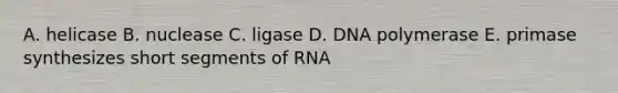 A. helicase B. nuclease C. ligase D. DNA polymerase E. primase synthesizes short segments of RNA