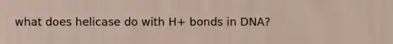 what does helicase do with H+ bonds in DNA?