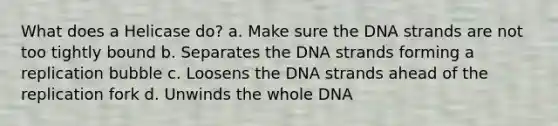 What does a Helicase do? a. Make sure the DNA strands are not too tightly bound b. Separates the DNA strands forming a replication bubble c. Loosens the DNA strands ahead of the replication fork d. Unwinds the whole DNA