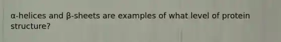 α-helices and β-sheets are examples of what level of protein structure?