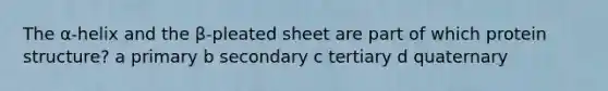 The α-helix and the β-pleated sheet are part of which protein structure? a primary b secondary c tertiary d quaternary