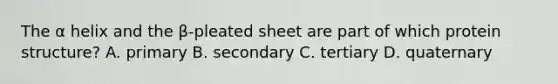 The α helix and the β-pleated sheet are part of which protein structure? A. primary B. secondary C. tertiary D. quaternary