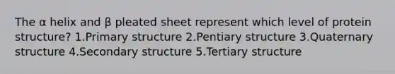 The α helix and β pleated sheet represent which level of protein structure? 1.Primary structure 2.Pentiary structure 3.Quaternary structure 4.Secondary structure 5.Tertiary structure