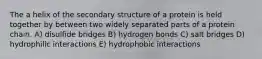 The a helix of the secondary structure of a protein is held together by between two widely separated parts of a protein chain. A) disulfide bridges B) hydrogen bonds C) salt bridges D) hydrophilic interactions E) hydrophobic interactions