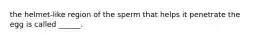 the helmet-like region of the sperm that helps it penetrate the egg is called ______.