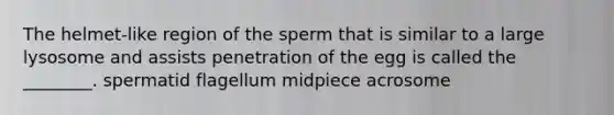 The helmet-like region of the sperm that is similar to a large lysosome and assists penetration of the egg is called the ________. spermatid flagellum midpiece acrosome