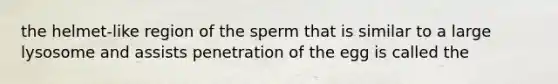 the helmet-like region of the sperm that is similar to a large lysosome and assists penetration of the egg is called the