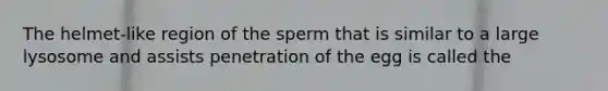 The helmet-like region of the sperm that is similar to a large lysosome and assists penetration of the egg is called the