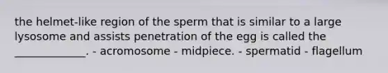 the helmet-like region of the sperm that is similar to a large lysosome and assists penetration of the egg is called the _____________. - acromosome - midpiece. - spermatid - flagellum