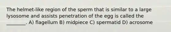 The helmet-like region of the sperm that is similar to a large lysosome and assists penetration of the egg is called the ________. A) flagellum B) midpiece C) spermatid D) acrosome