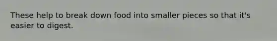 These help to break down food into smaller pieces so that it's easier to digest.