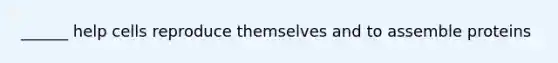 ______ help cells reproduce themselves and to assemble proteins