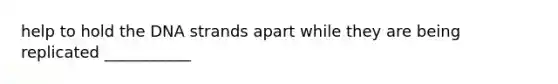 help to hold the DNA strands apart while they are being replicated ___________
