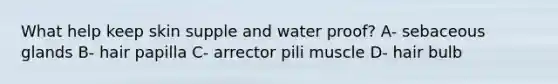 What help keep skin supple and water proof? A- sebaceous glands B- hair papilla C- arrector pili muscle D- hair bulb