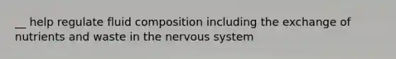 __ help regulate fluid composition including the exchange of nutrients and waste in the nervous system