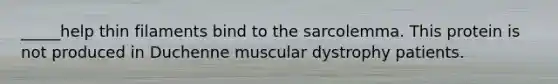 _____help thin filaments bind to the sarcolemma. This protein is not produced in Duchenne muscular dystrophy patients.