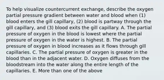 To help visualize countercurrent exchange, describe the oxygen partial pressure gradient between water and blood when (1) blood enters the gill capillary, (2) blood is partway through the gill capillary, and (3) blood exits the gill capillary. A. The partial pressure of oxygen in the blood is lowest where the partial pressure of oxygen in the water is highest. B. The partial pressure of oxygen in blood increases as it flows through gill capillaries. C. The partial pressure of oxygen is greater in the blood than in the adjacent water. D. Oxygen diffuses from the bloodstream into the water along the entire length of the capillaries. E. More than one of the above