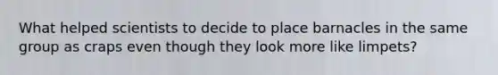 What helped scientists to decide to place barnacles in the same group as craps even though they look more like limpets?