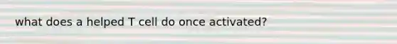 what does a helped T cell do once activated?