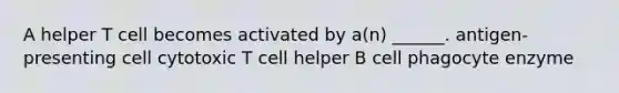 A helper T cell becomes activated by a(n) ______. antigen-presenting cell cytotoxic T cell helper B cell phagocyte enzyme