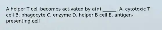 A helper T cell becomes activated by a(n) ______. A. cytotoxic T cell B. phagocyte C. enzyme D. helper B cell E. antigen-presenting cell