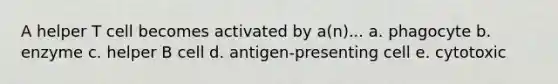 A helper T cell becomes activated by a(n)... a. phagocyte b. enzyme c. helper B cell d. antigen-presenting cell e. cytotoxic