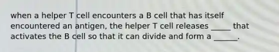 when a helper T cell encounters a B cell that has itself encountered an antigen, the helper T cell releases _____ that activates the B cell so that it can divide and form a ______.