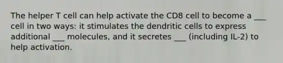 The helper T cell can help activate the CD8 cell to become a ___ cell in two ways: it stimulates the dendritic cells to express additional ___ molecules, and it secretes ___ (including IL-2) to help activation.