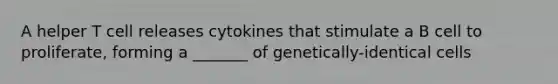 A helper T cell releases cytokines that stimulate a B cell to proliferate, forming a _______ of genetically-identical cells