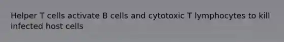 Helper T cells activate B cells and cytotoxic T lymphocytes to kill infected host cells