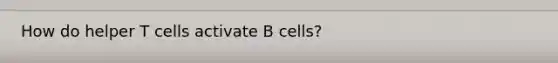 How do helper T cells activate B cells?