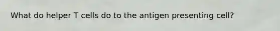 What do helper T cells do to the antigen presenting cell?