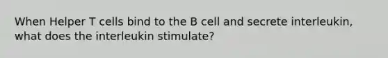 When Helper T cells bind to the B cell and secrete interleukin, what does the interleukin stimulate?